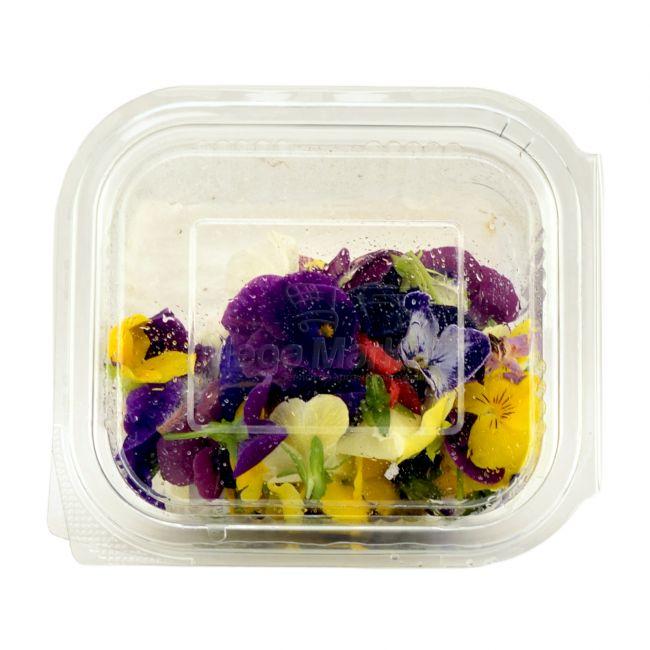 Mold Inspire Illuminate Microgreens Mix de Flori Comestibile