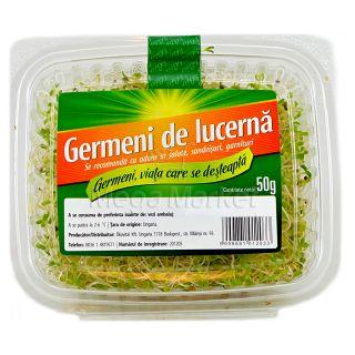 Germeni de Lucerna pentru Salata.Sendvis si Garnituri
