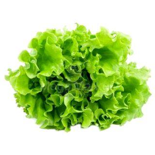 Selgros Salata Verde