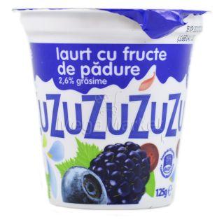 Zuzu Iaurt cu Fructe de Padure