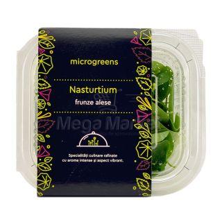 Microgreens Frubze Alese Nasturtium