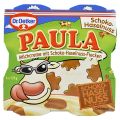 Paula Budinca de Lapte cu 30% Budinca cu Gust de Ciocolata si Alune